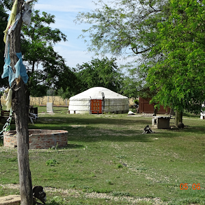 Csodaszarvas Kemping place picture